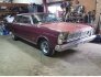 1965 Ford Galaxie for sale 101697377