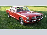 1965 Ford Mustang for sale 101986804