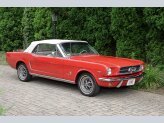 1965 Ford Mustang Convertible