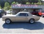 1965 Ford Mustang Coupe for sale 101555709