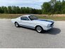 1965 Ford Mustang for sale 101735915