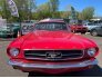 1965 Ford Mustang for sale 101736729
