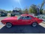 1965 Ford Mustang for sale 101736730