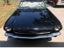 1965 Ford Mustang for sale 101788315