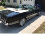 1965 Ford Mustang for sale 101788315