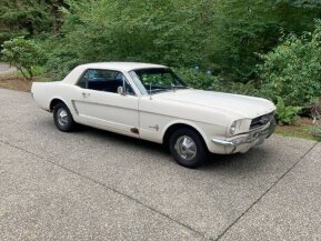 1965 Ford Mustang for sale 101955048