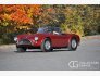 1965 Shelby Cobra for sale 101827476