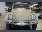 Thumbnail Photo 6 for 1965 Volkswagen Beetle