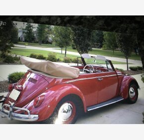 1965 Volkswagen Beetle Clics For On Autotrader