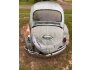 1965 Volkswagen Beetle for sale 101651043