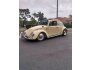 1965 Volkswagen Beetle for sale 101687410