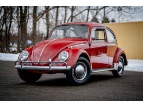 1965 Volkswagen Beetle for sale 101702090