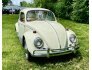 1965 Volkswagen Beetle for sale 101745105