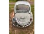 1965 Volkswagen Beetle for sale 101765811