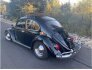 1965 Volkswagen Beetle for sale 101777419