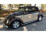 1965 Volkswagen Beetle for sale 101794256
