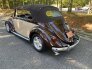 1965 Volkswagen Beetle for sale 101797494
