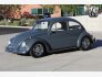 1965 Volkswagen Beetle for sale 101808331