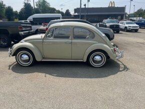 1965 Volkswagen Beetle for sale 101894804