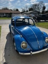 1965 Volkswagen Beetle for sale 101899676