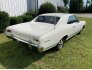 1966 Chevrolet Chevelle SS for sale 101792661