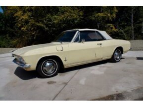 1966 Chevrolet Corvair for sale 101791834