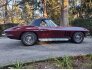 1966 Chevrolet Corvette for sale 101452119
