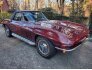 1966 Chevrolet Corvette for sale 101452119