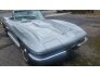 1966 Chevrolet Corvette for sale 101728418