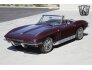 1966 Chevrolet Corvette Convertible for sale 101745467
