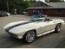 1966 Chevrolet Corvette for sale 101766400