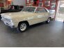 1966 Chevrolet Nova for sale 101759078