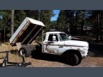 Thumbnail Photo 6 for 1966 Ford F350