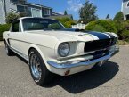 Thumbnail Photo 2 for 1966 Ford Mustang Shelby GT350