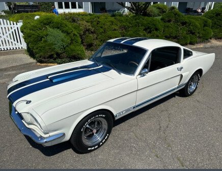 Photo 1 for 1966 Ford Mustang Shelby GT350