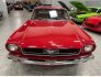 1966 Ford Mustang Coupe for sale 101761302