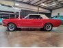 1966 Ford Mustang for sale 101607869
