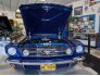 1966 Ford Mustang for sale 101630406