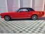 1966 Ford Mustang Coupe for sale 101677186