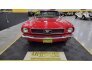 1966 Ford Mustang for sale 101710671