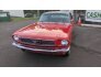1966 Ford Mustang for sale 101746515