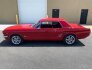 1966 Ford Mustang for sale 101750295