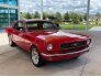 1966 Ford Mustang for sale 101757429