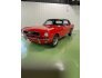 1966 Ford Mustang for sale 101781839