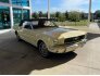 1966 Ford Mustang for sale 101796339