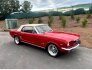 1966 Ford Mustang for sale 101798058