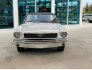 1966 Ford Mustang for sale 101804181