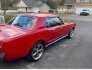 1966 Ford Mustang for sale 101814355