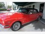 1966 Ford Mustang for sale 101816357