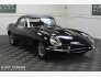1966 Jaguar E-Type for sale 101830915